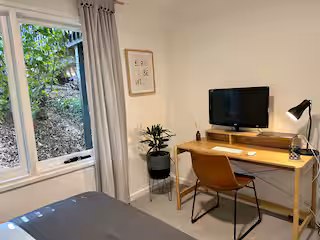 Bedroom study nook with desk, television and leafy garden window
